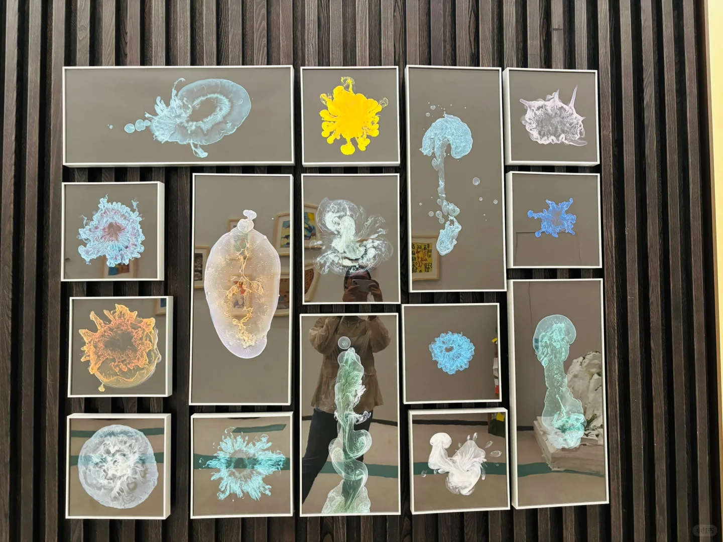 廊坊挖到宝‼️穿越千年的丝绸之路~