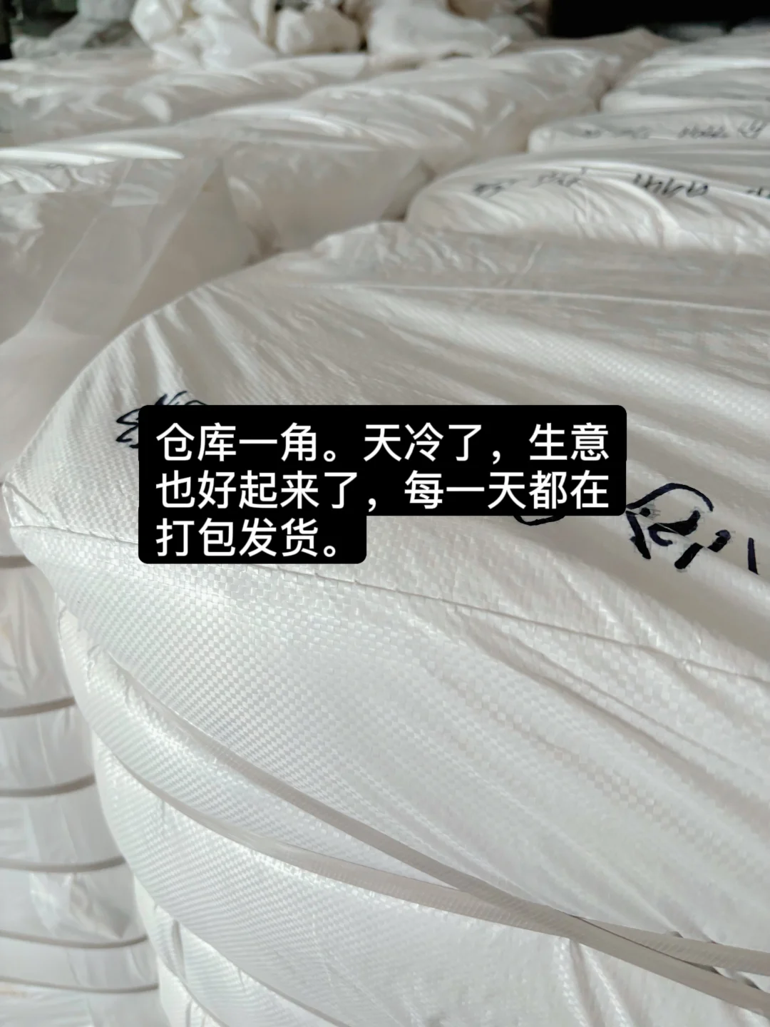 纺厂二代| 零基础就不要急着证明自己