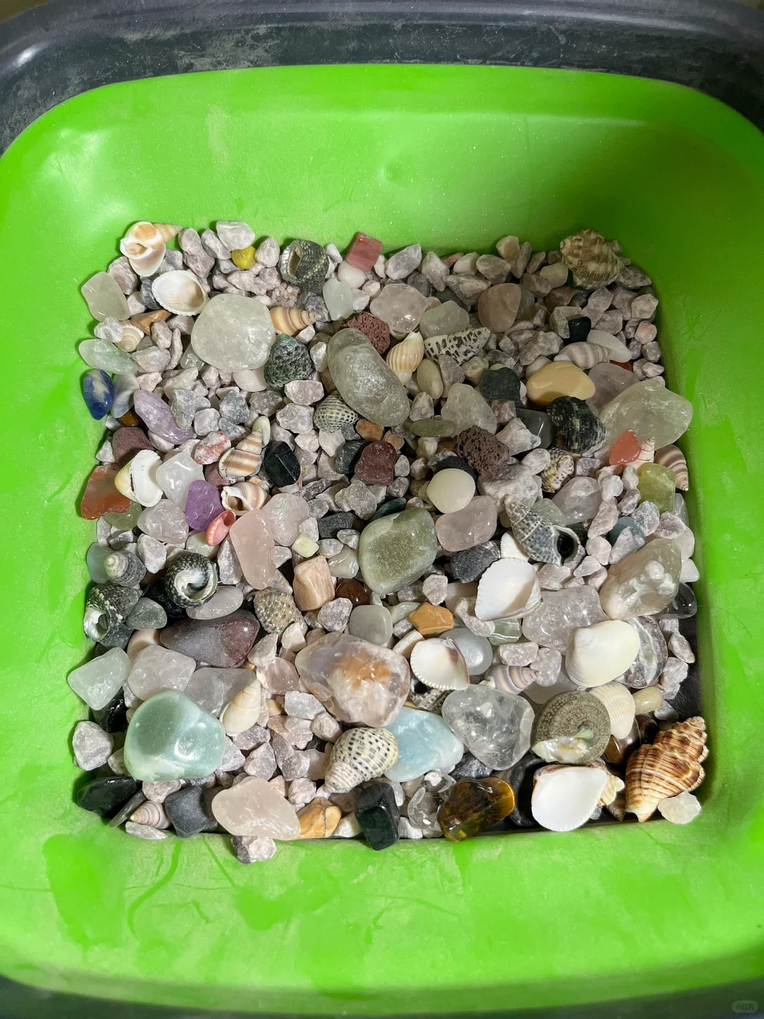 2岁半寻宝，半小时起步