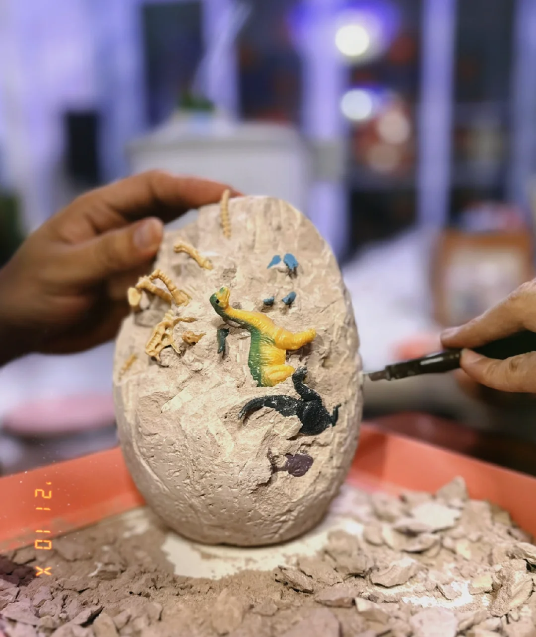 考古 恐龙蛋?化石