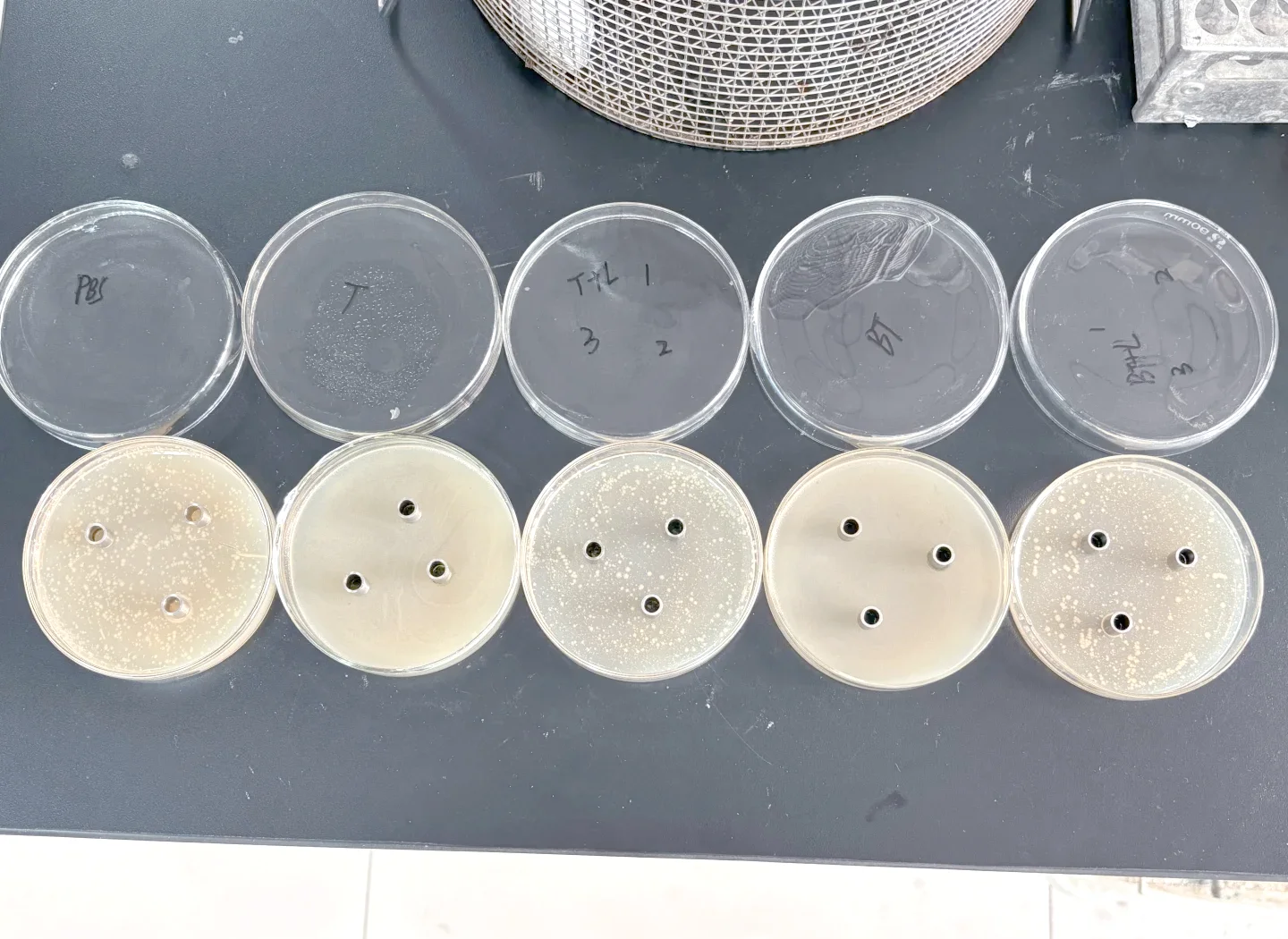 什么是抗菌面料?