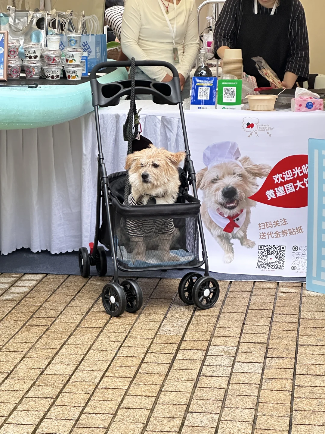 我在安高若运动展 根本停不下来