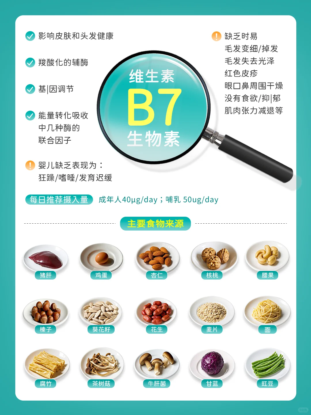 补充维生素B族：吃对食物才能打出完美配合