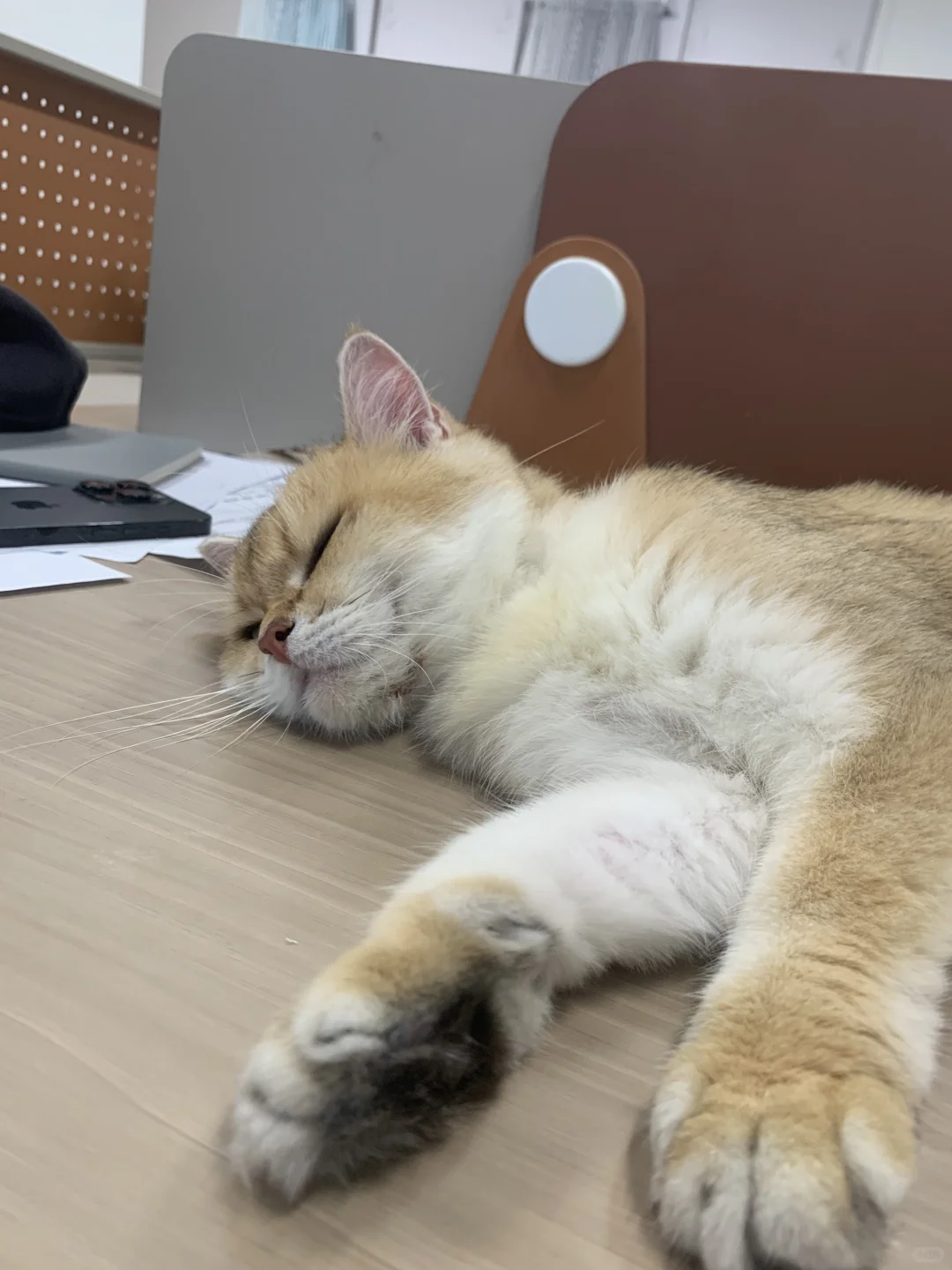 03年纺织新人｜上班第三天！！！