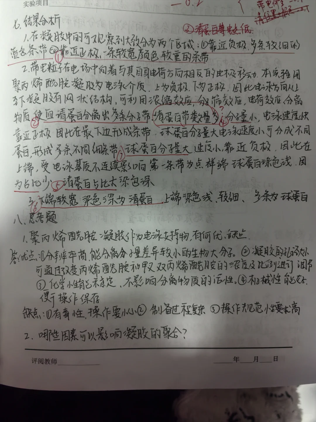 聚丙烯酰胺凝胶电泳分离血清蛋白