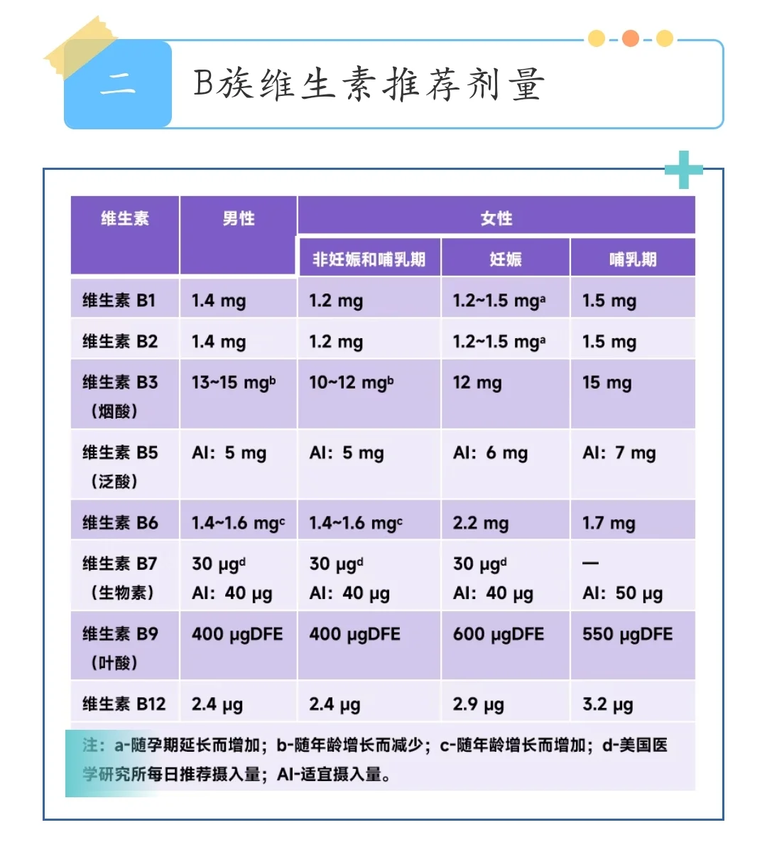 B族维生素全解析