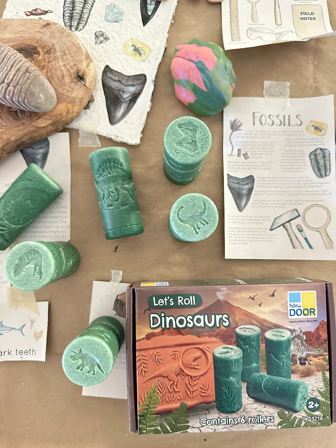 ??????| 在家挖化石之考古感官盒2