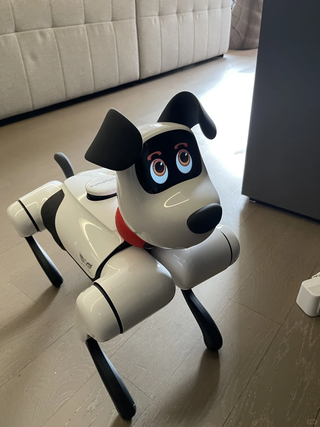 斥资买的机器狗！AI走进我的家哈哈?