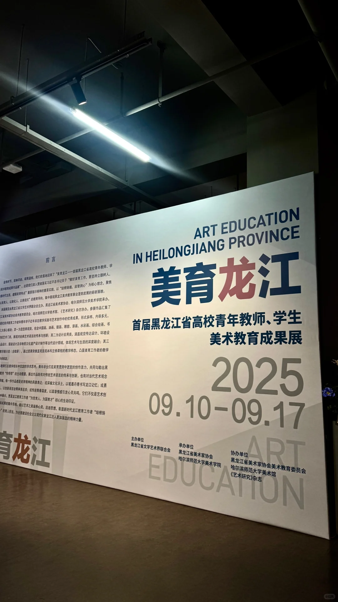 下次展览看点啥