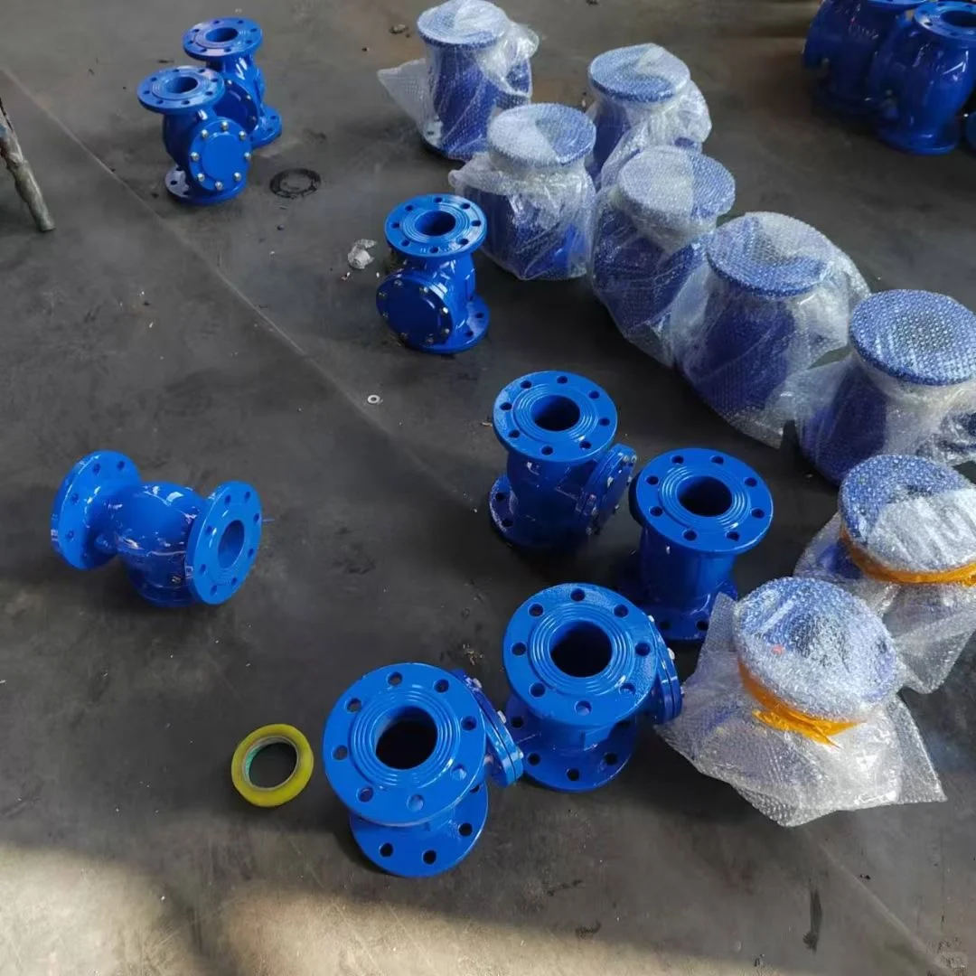 DN 100旋启式止回阀