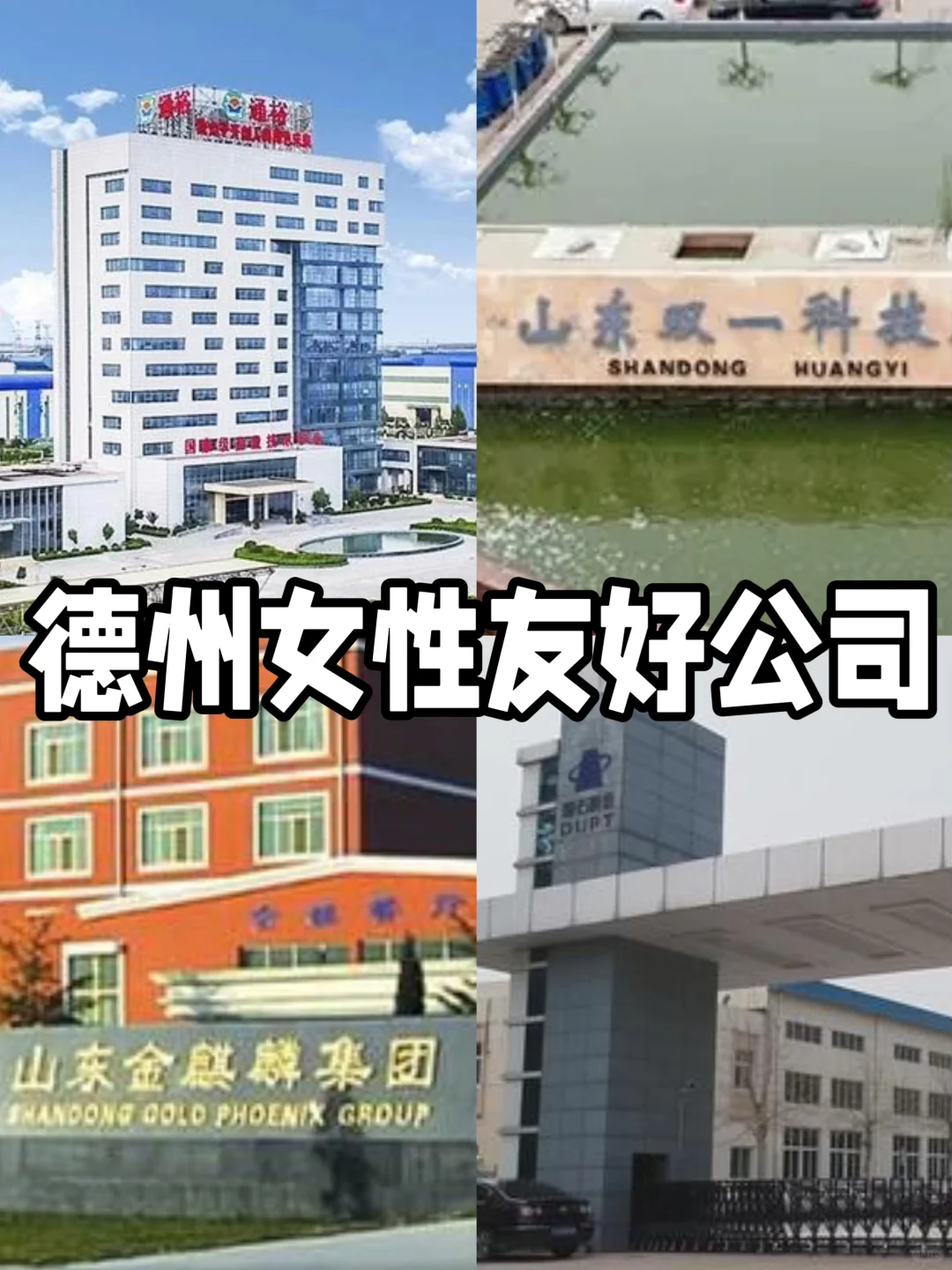 冲一波！德州女性友好公司