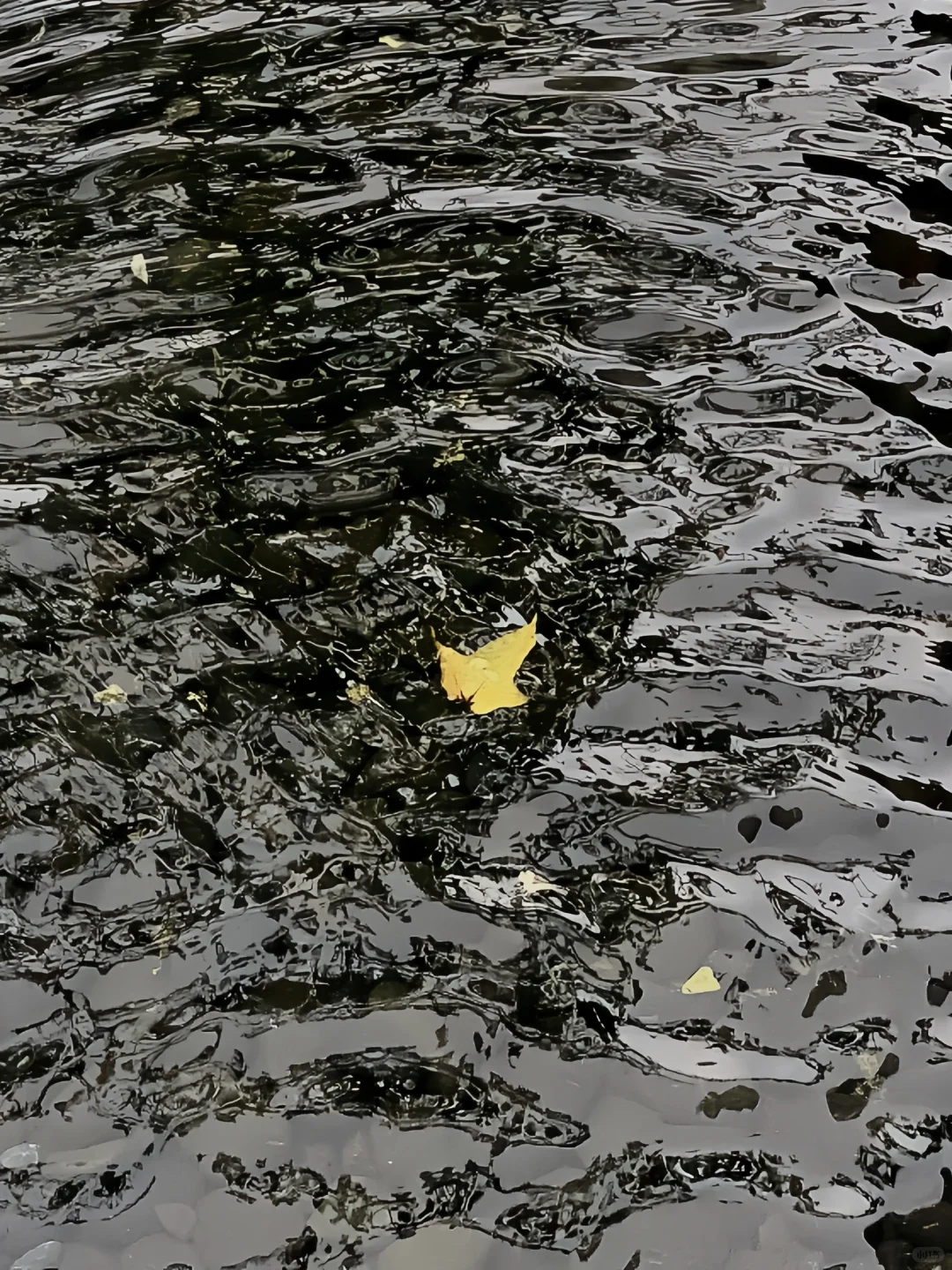 二次构图➕滤镜拯救了相册里一半的废片