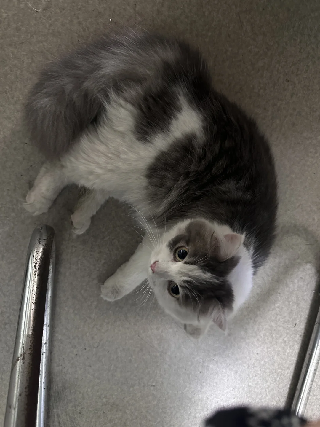 这台电机帅不帅？！？？！