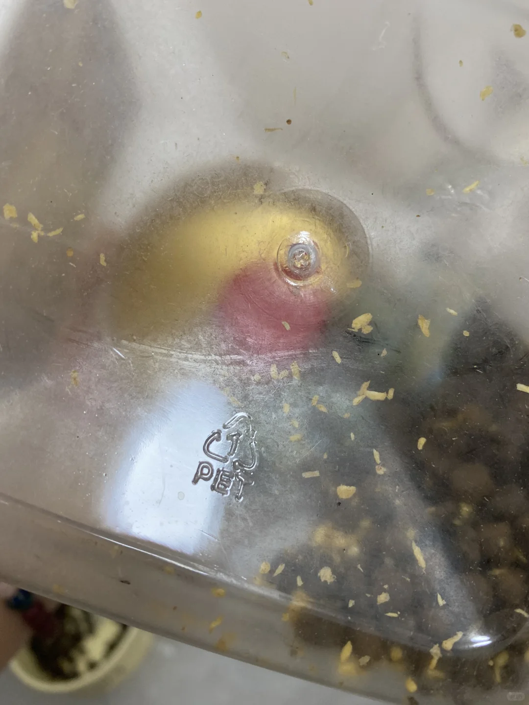 坚果盒子能重复装猫粮吗