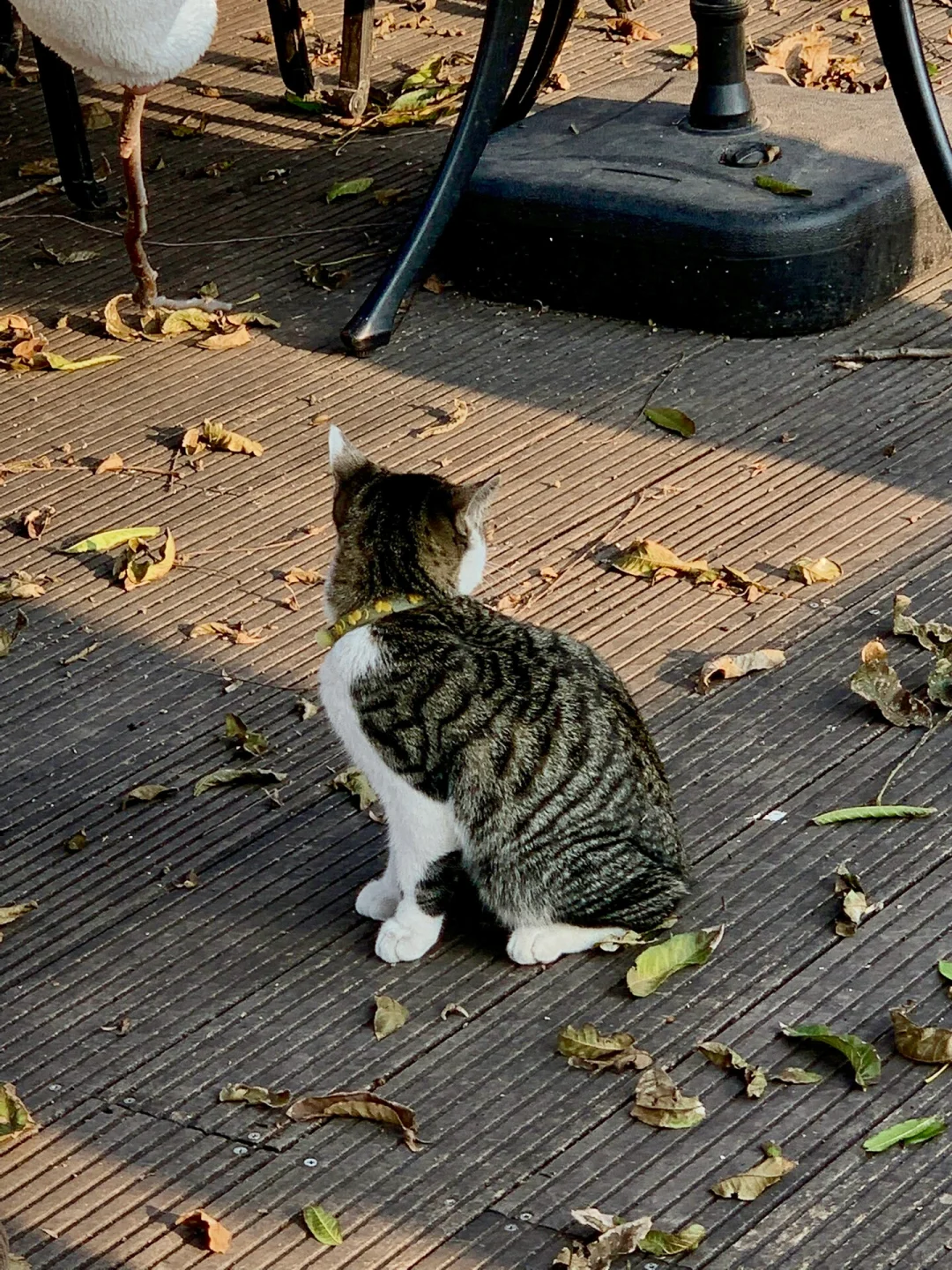 入职健康管理师的感受