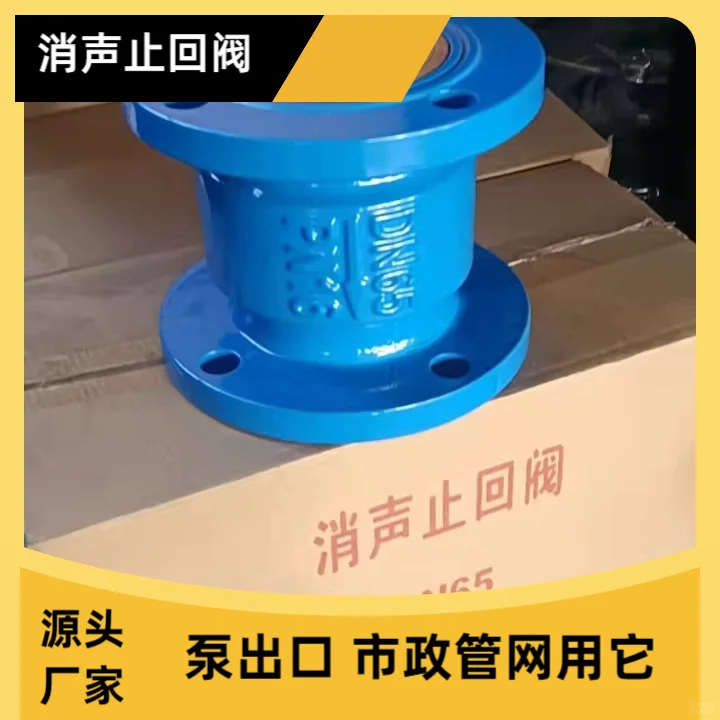 消声止回阀具有抗腐蚀、抗磨损、抗老化等特