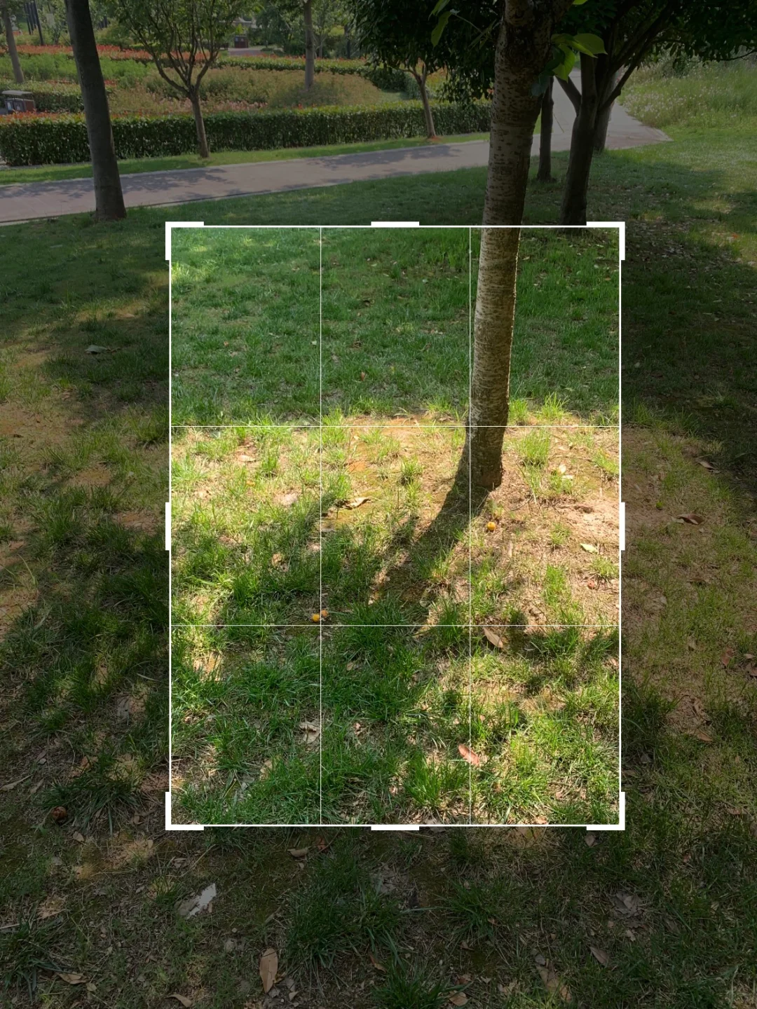 二次构图➕滤镜拯救了相册里一半的废片