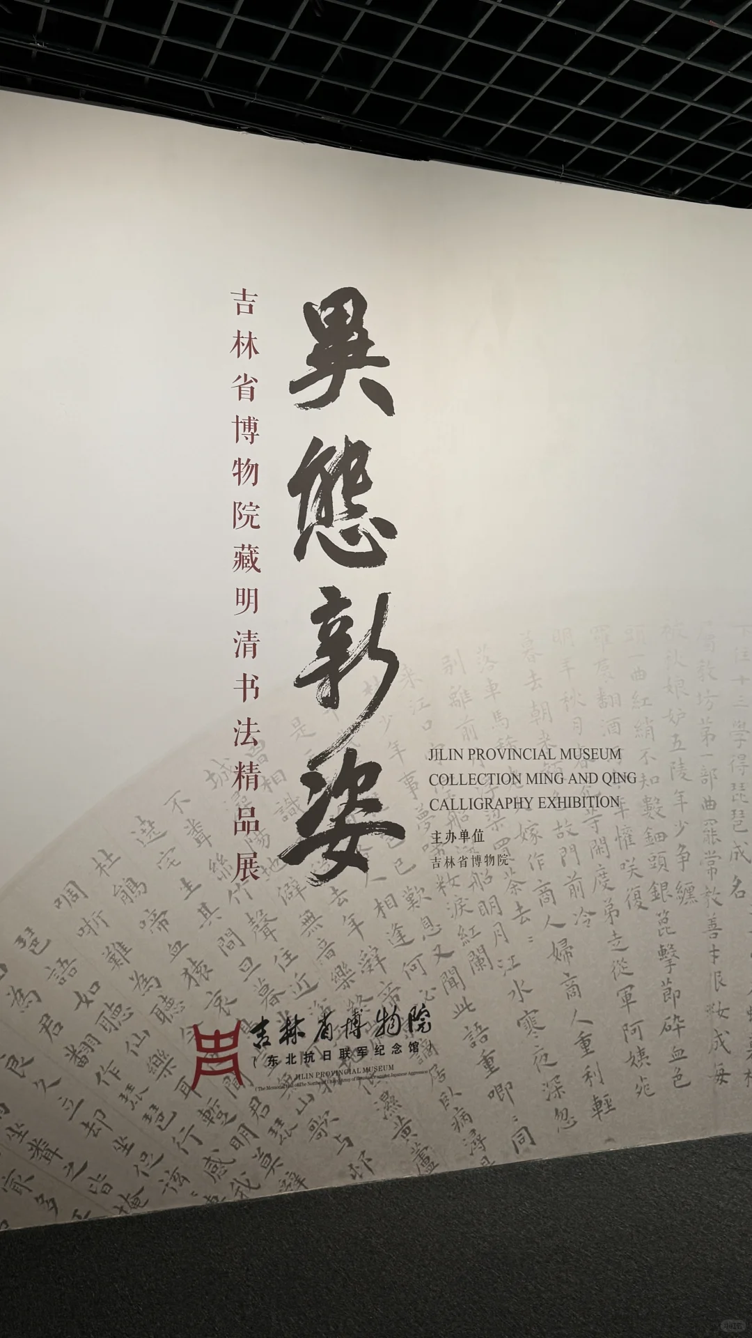 下次展览看点啥