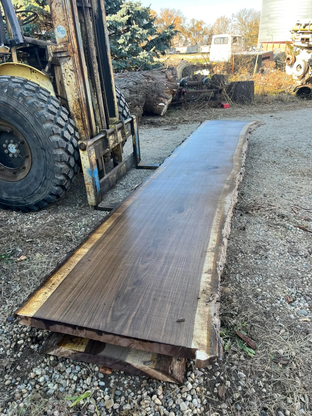 这就是黑胡桃木