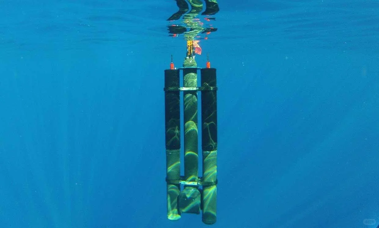 ? 如何让大海成为我们的绿色充电宝？⚡