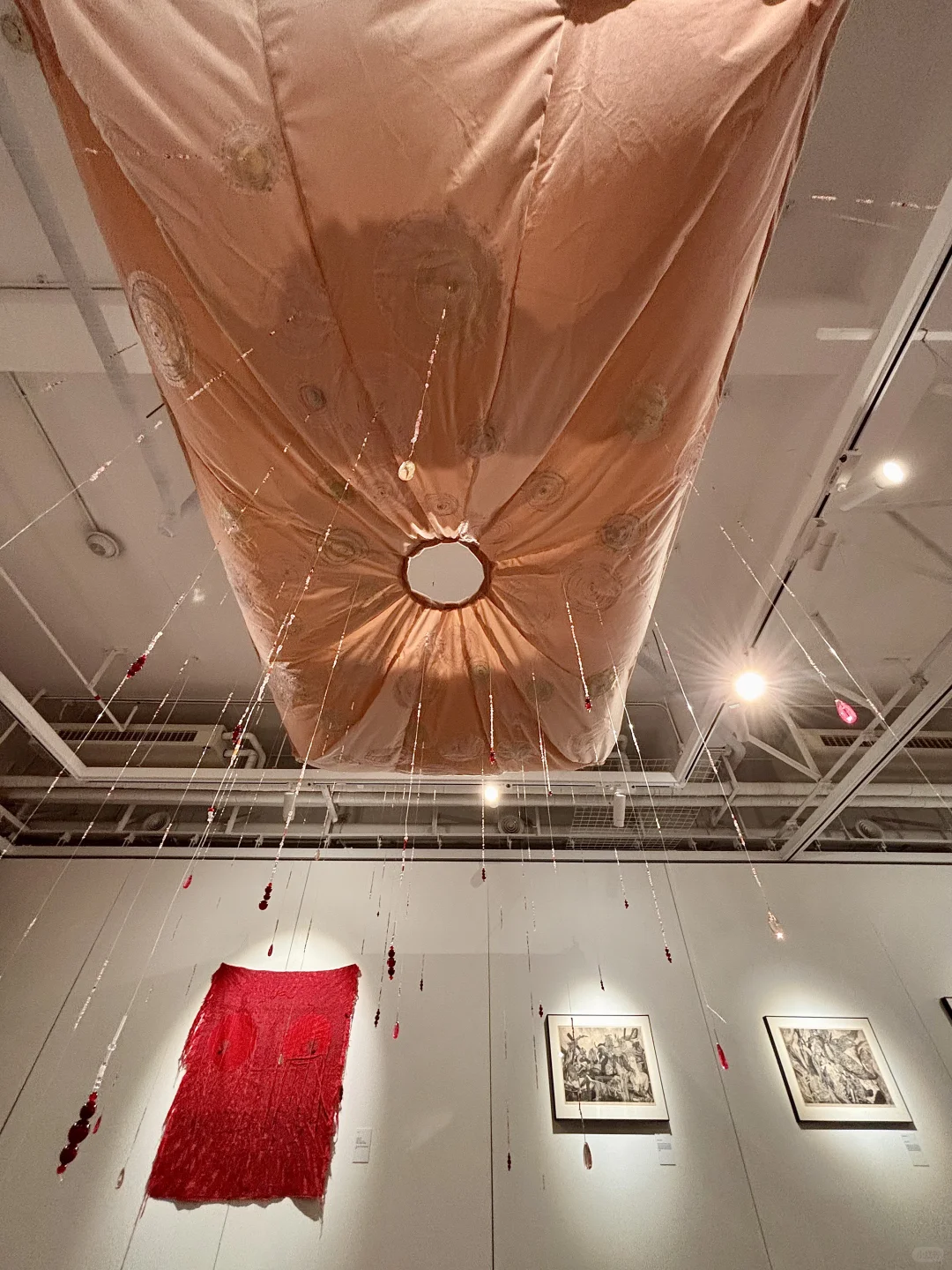 北京免费新展|好了不起的女性力量❣️