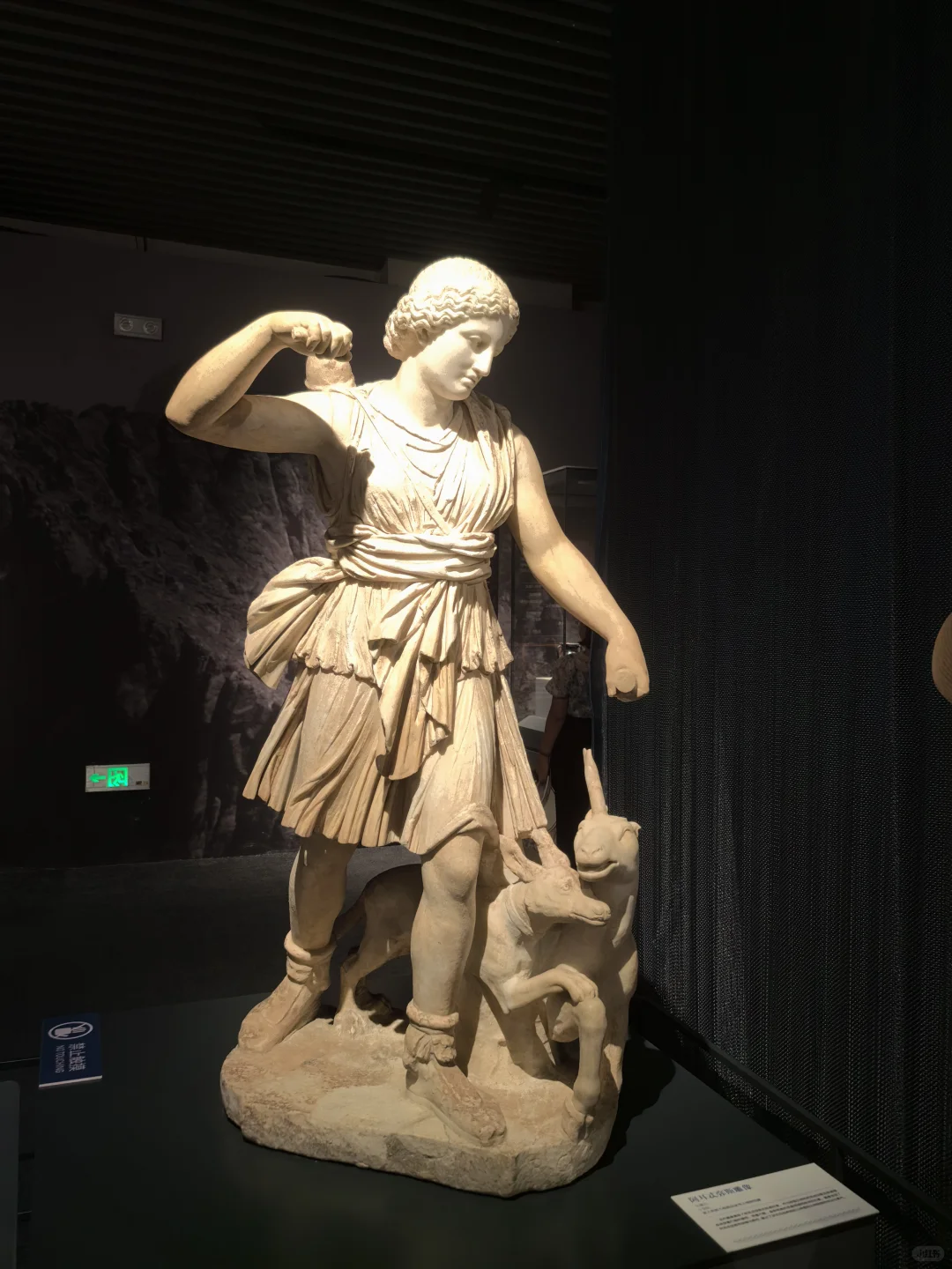 夜游博物馆小记?聊聊两场不同的希腊展