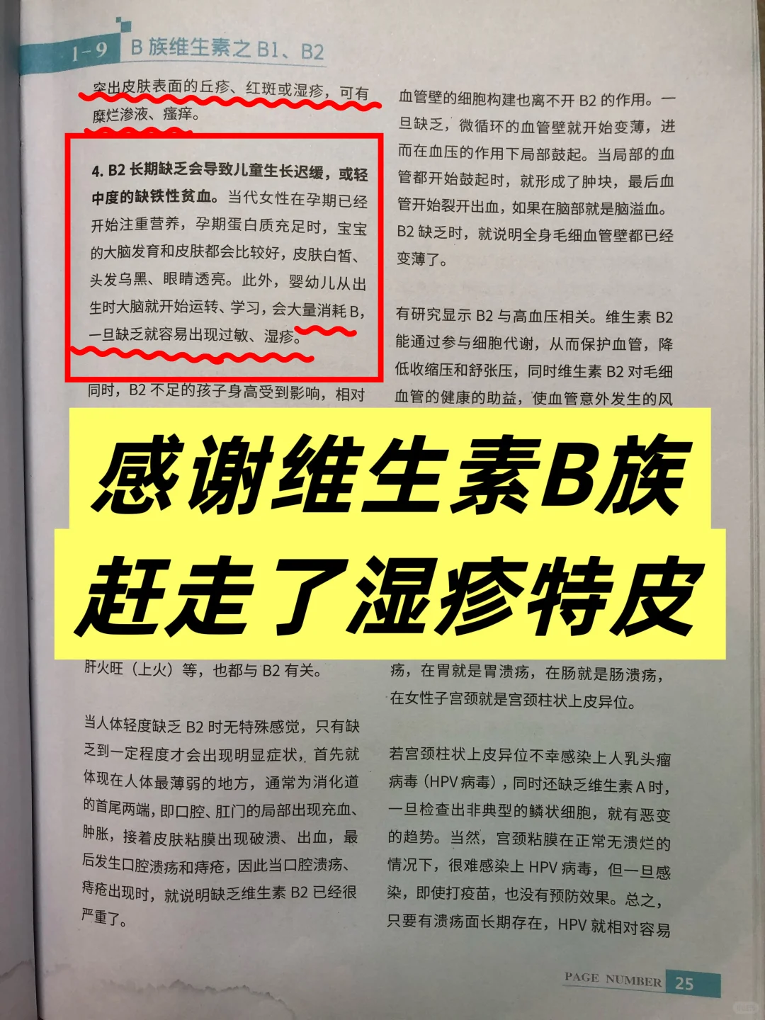感谢维生素 B 族，轻松赶走湿疹特皮