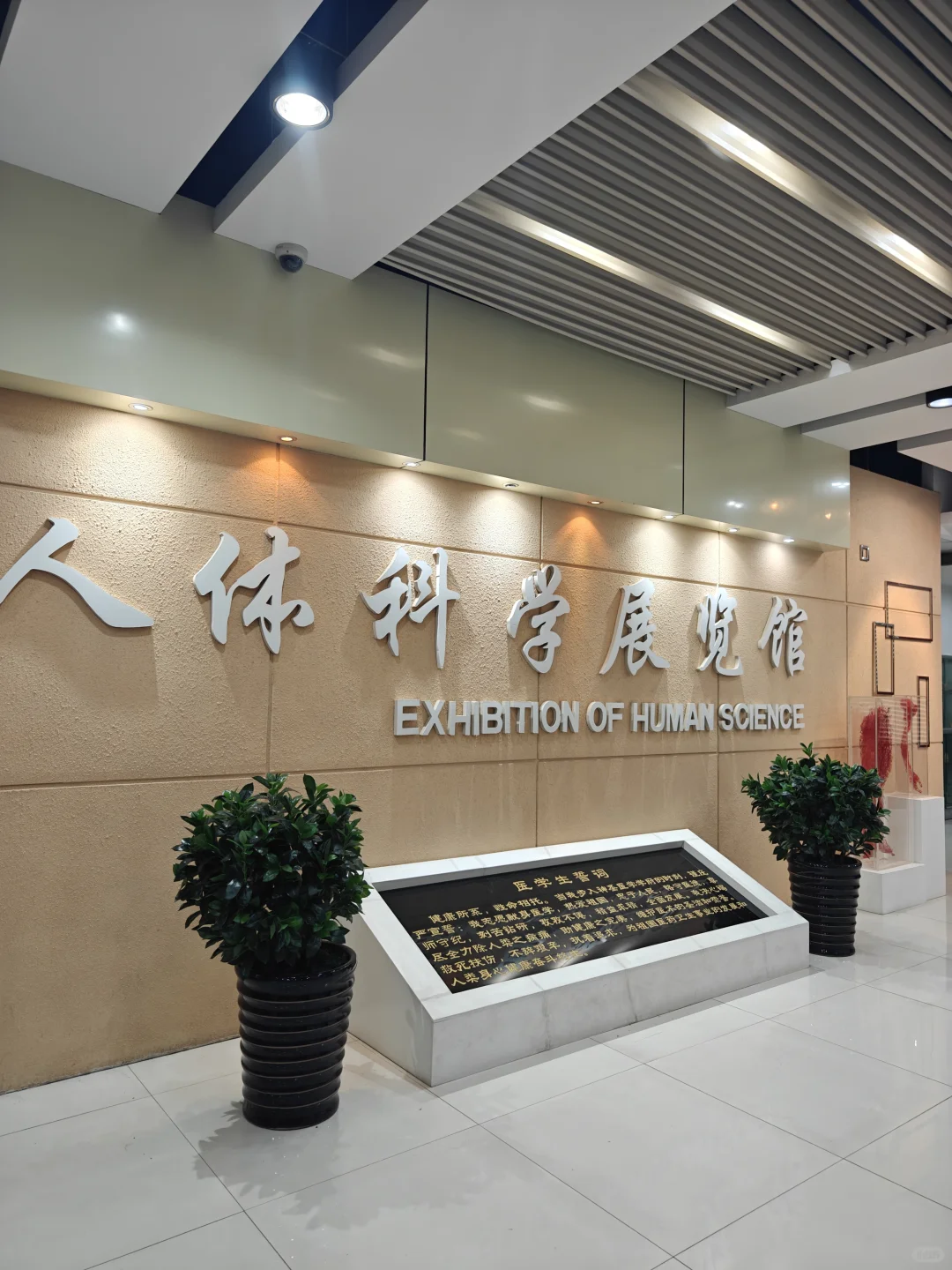 约上了❗沈阳医学院人体科学展览攻略