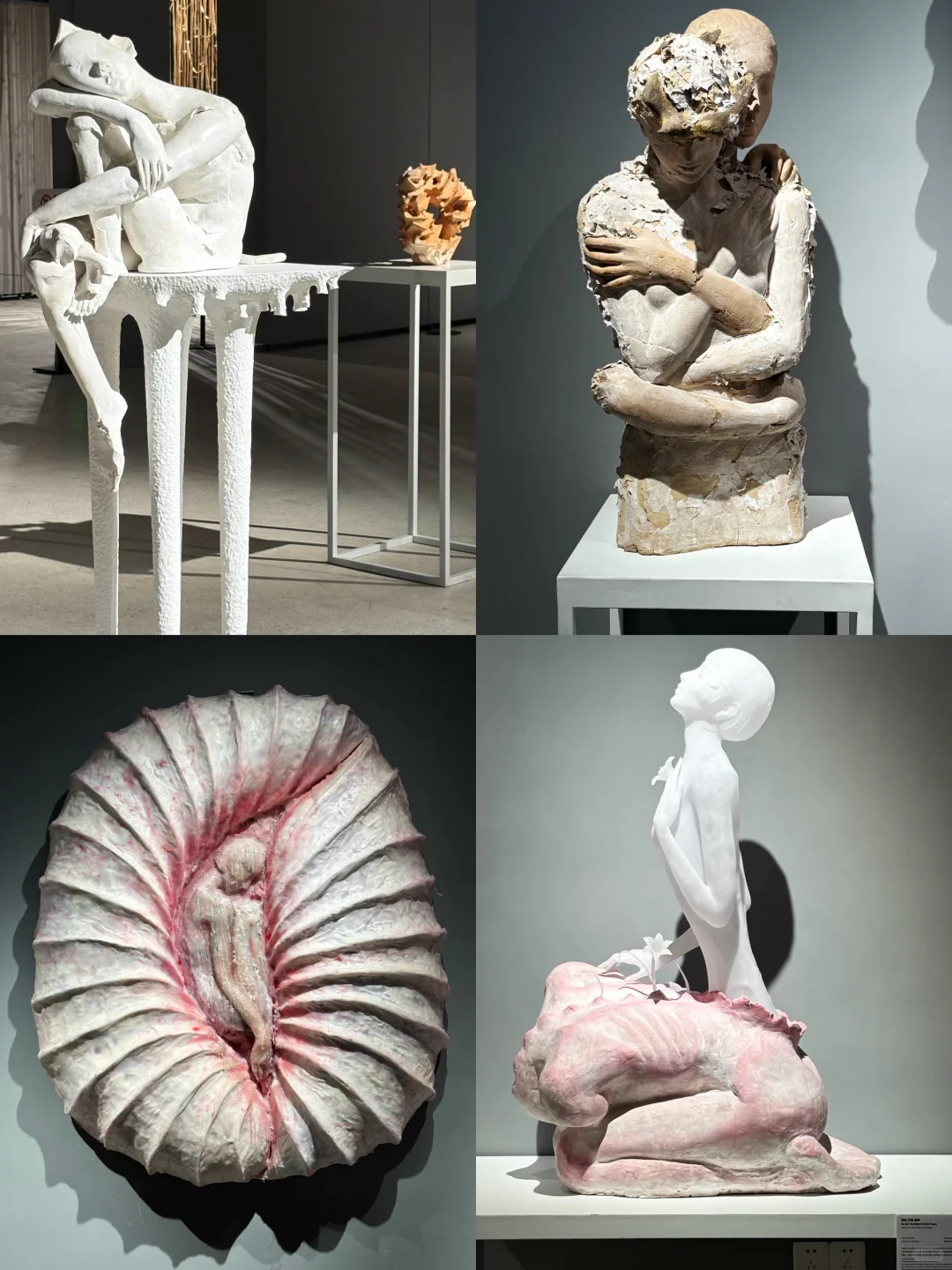 佛山新展|今年最不想错过的陶艺展?️好惊艳