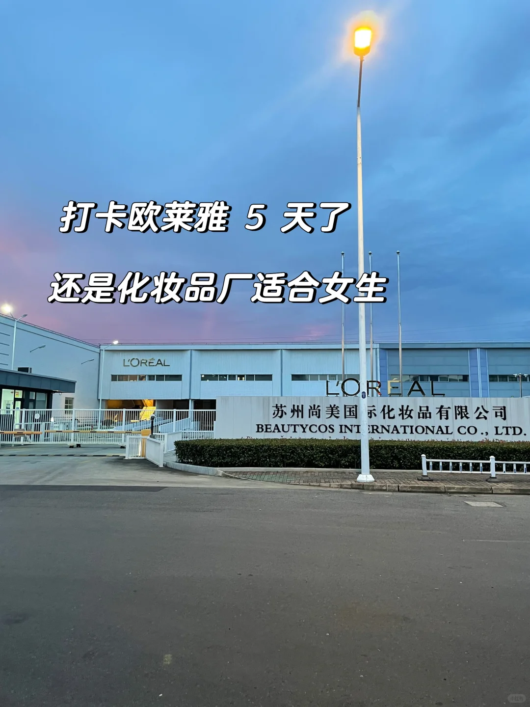 欧莱雅真的很好!来了!