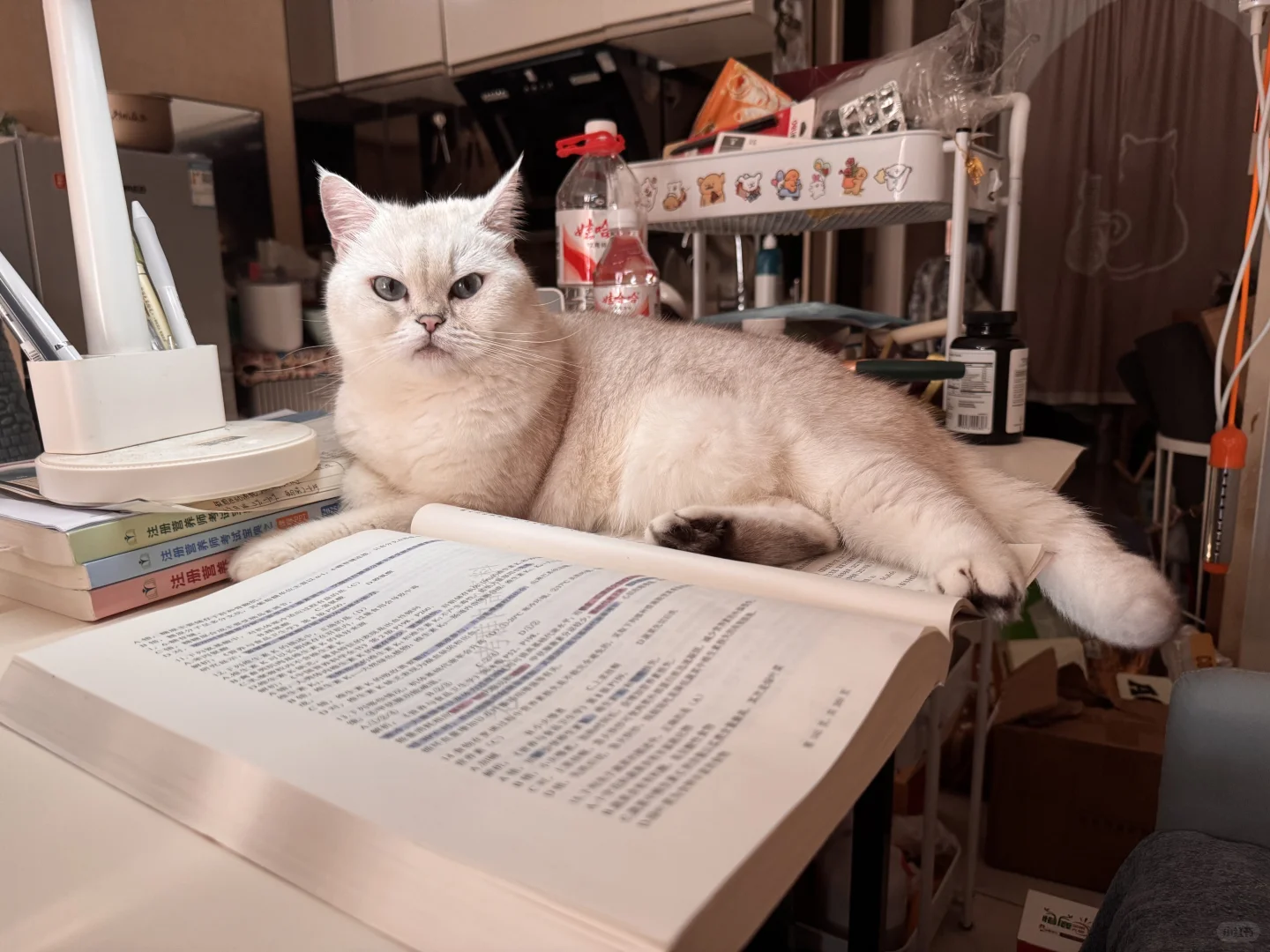 2025注册营养师考试对答案