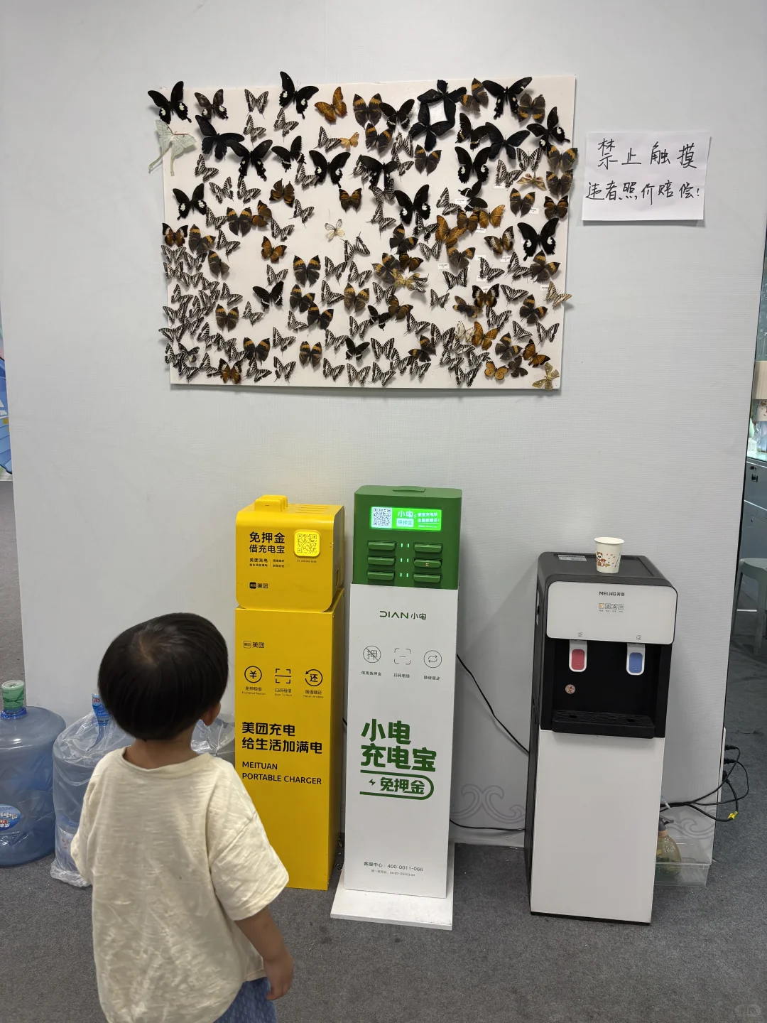 带三岁小朋友来参观石家庄活体昆虫博物馆啦