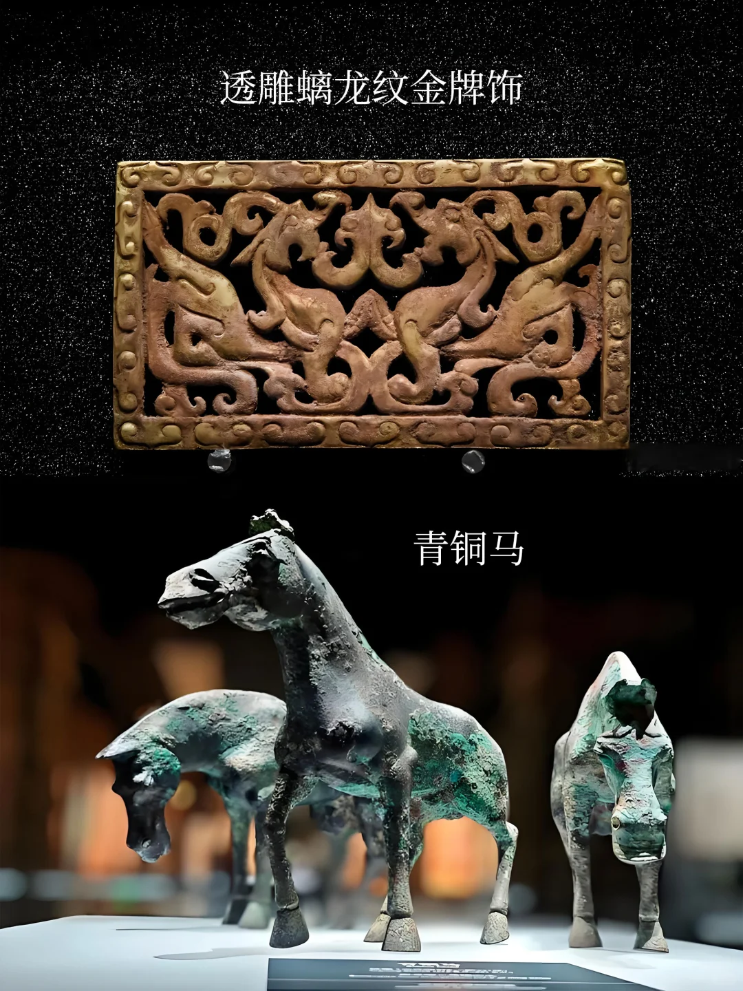 都在这里啦❗️邯郸博物馆攻略,一篇讲清楚