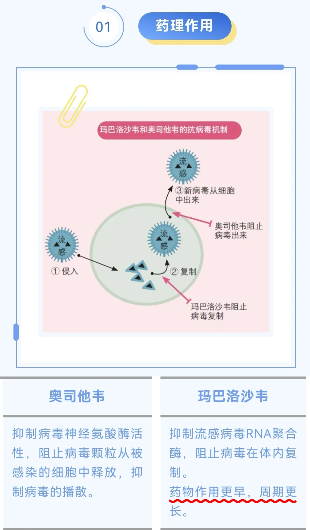 甲流特效 yao该怎么选？