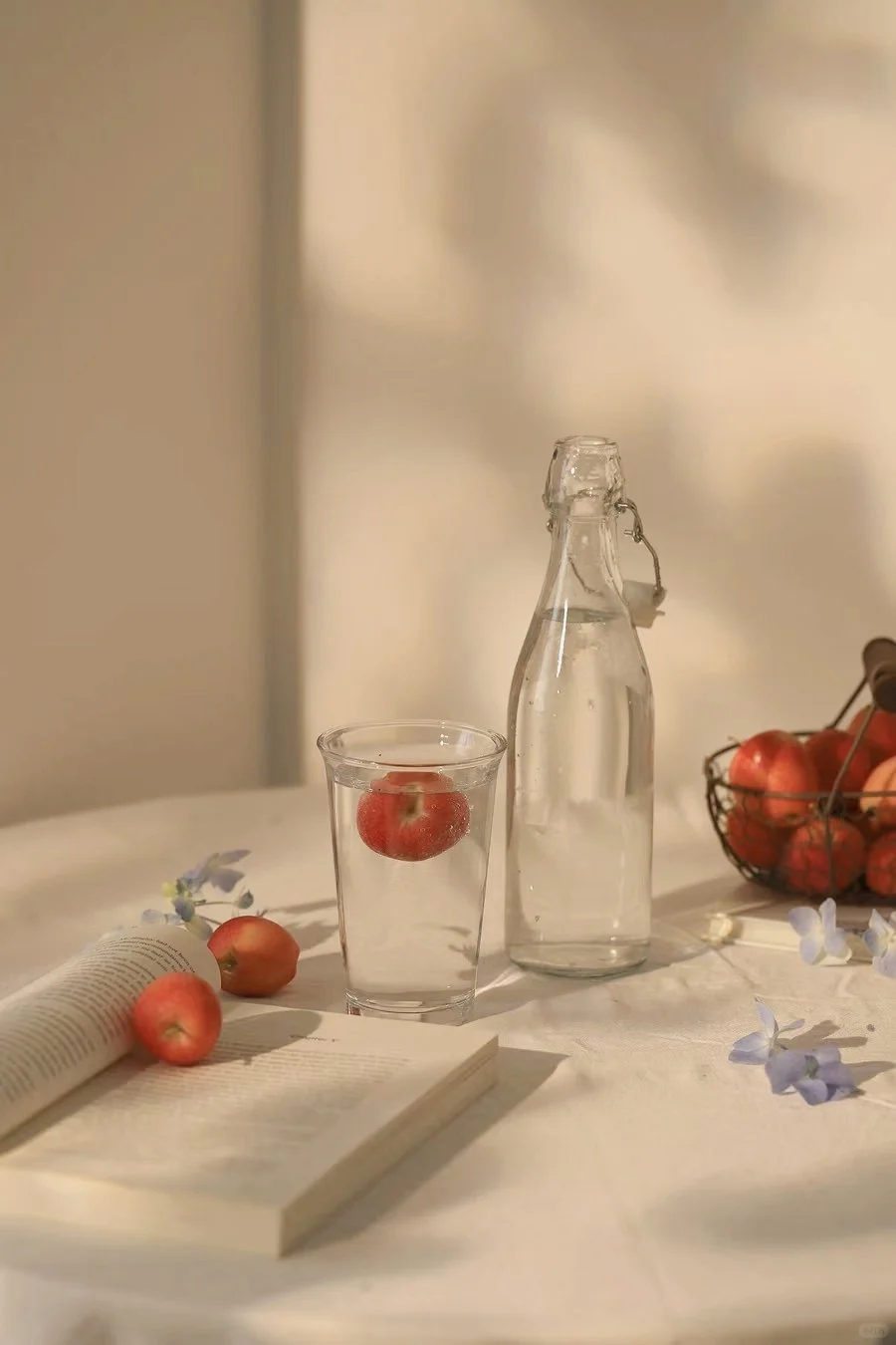 静物摄影|阳光下的静物（附布景）