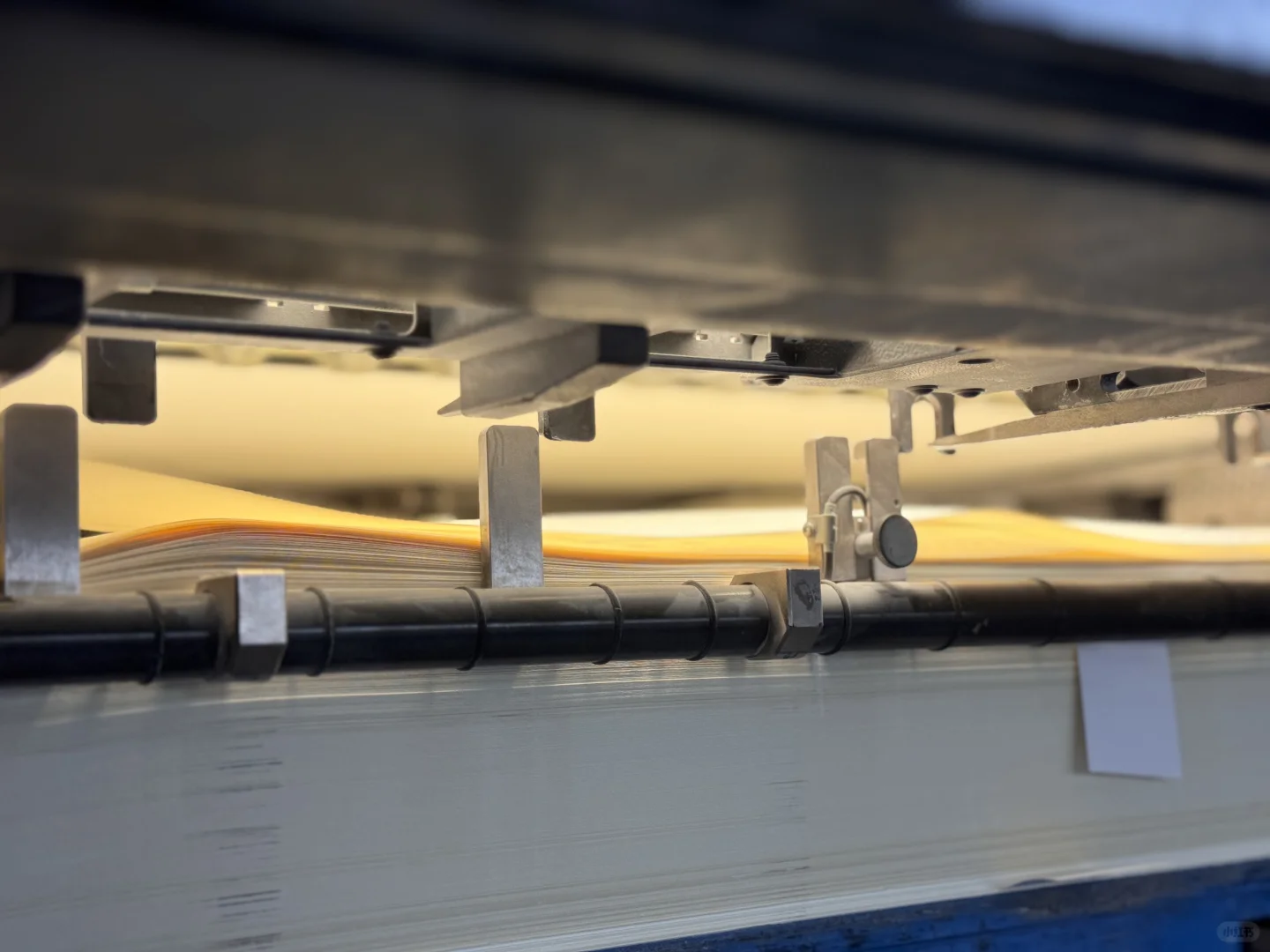 第一次进印刷车间