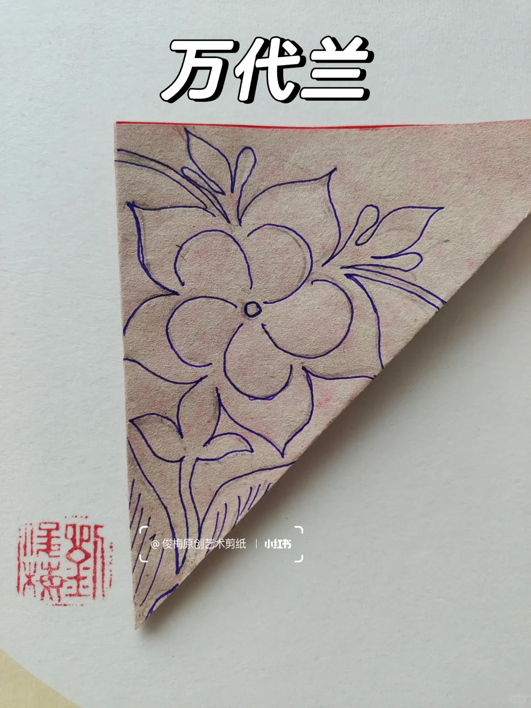 每日一剪｜万代兰