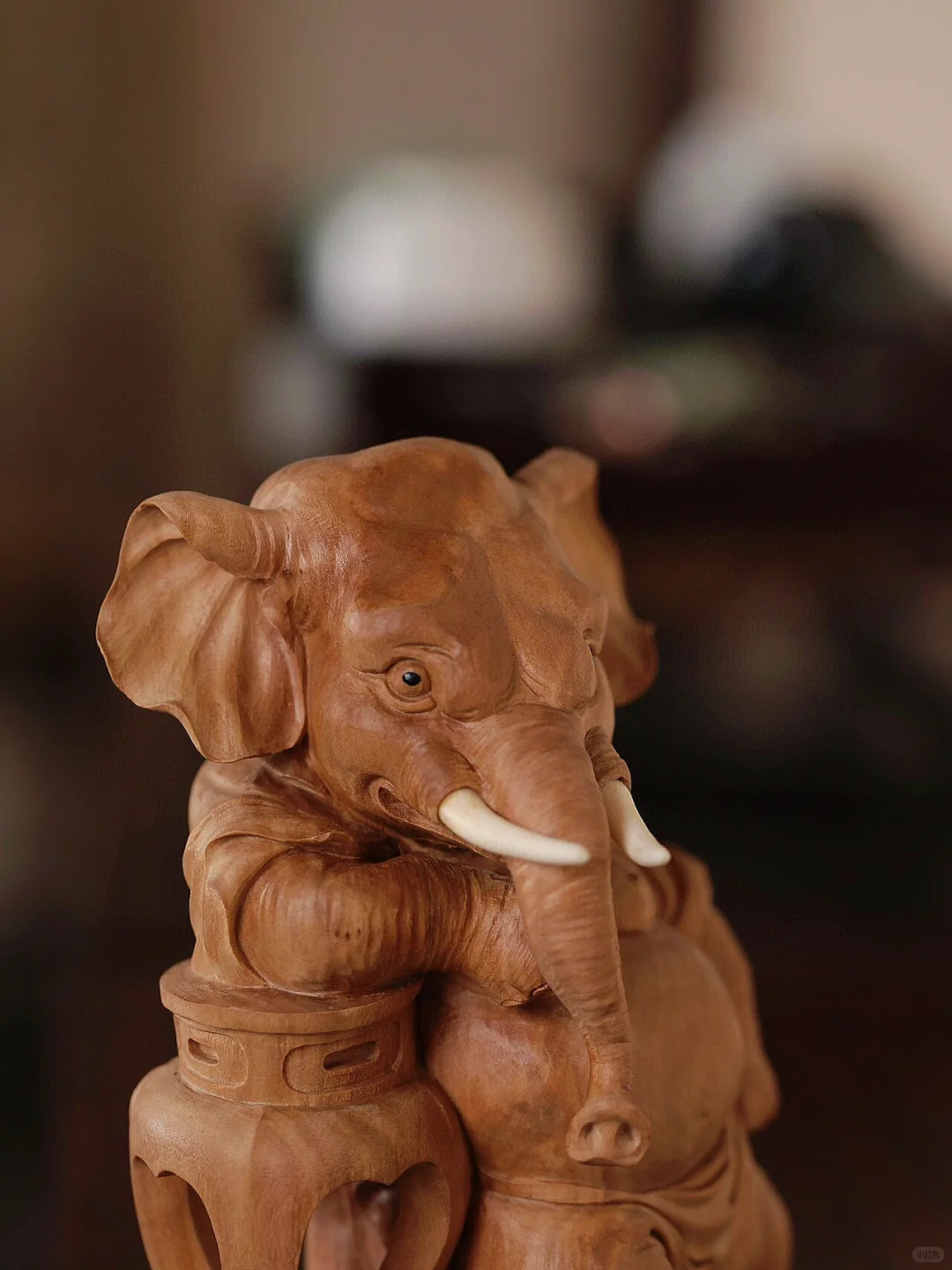 谁能拒绝酷酷的小象呢