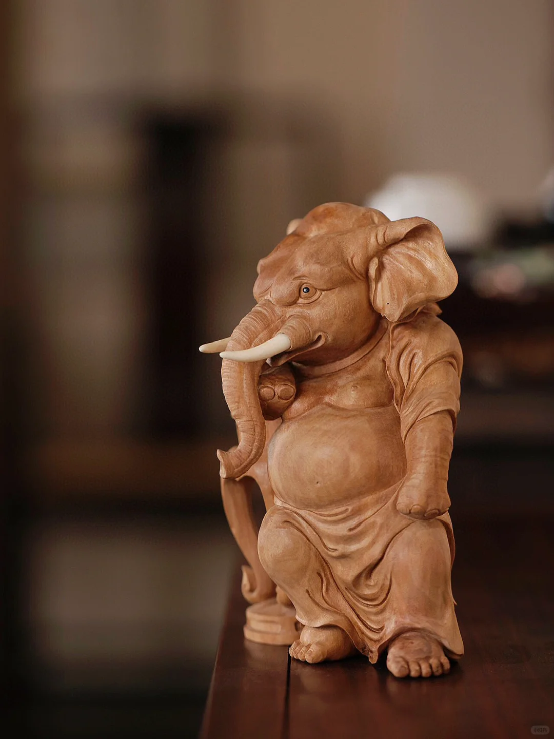 谁能拒绝酷酷的小象呢