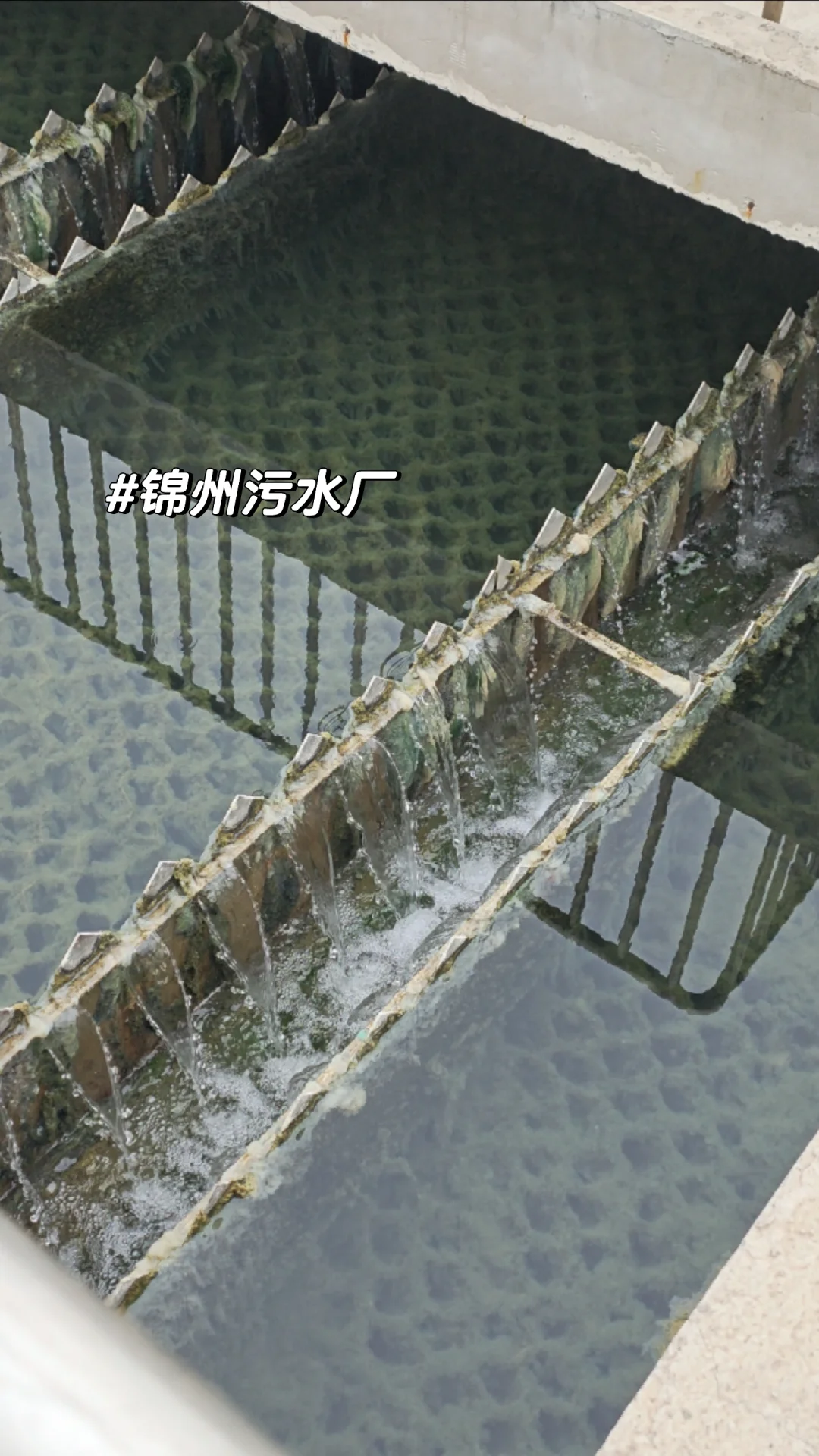 来啦上班~最近在锦州