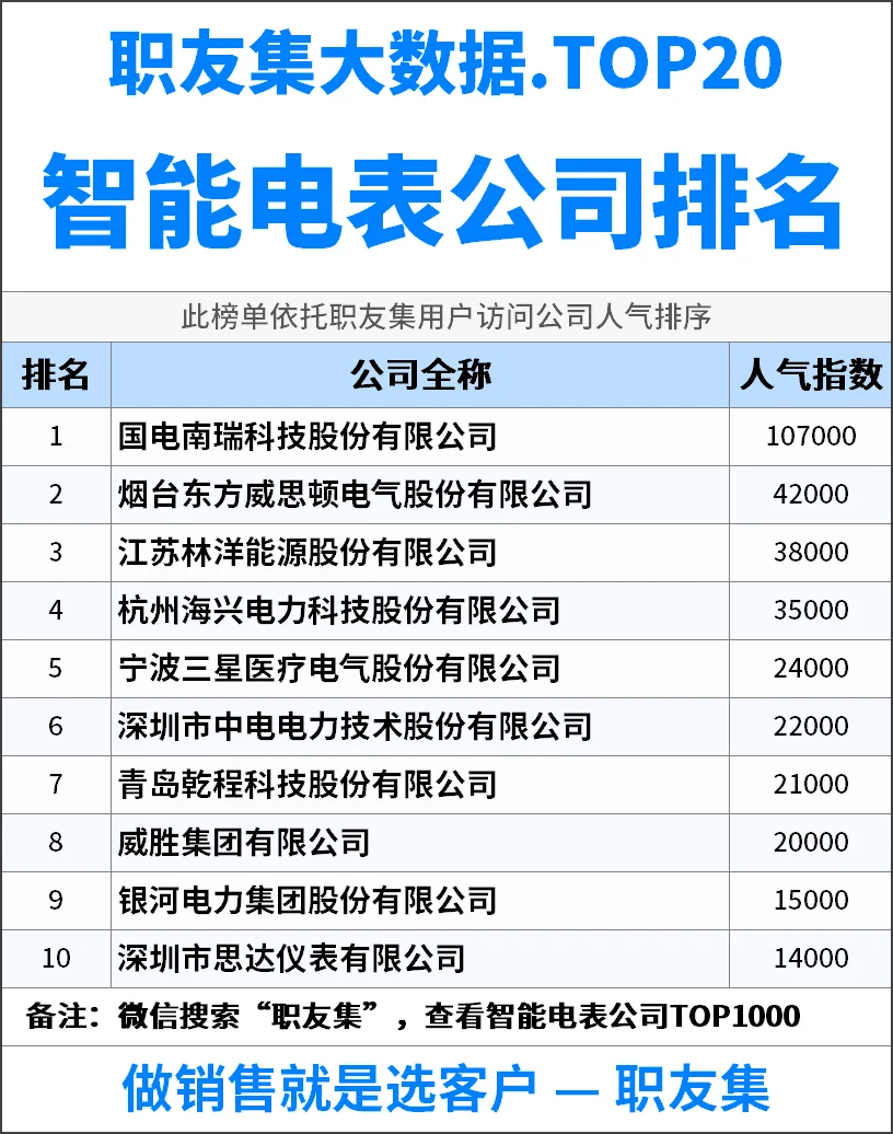 2025年中国智能电表公司排行榜