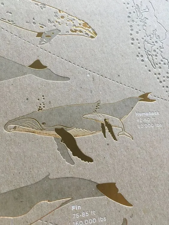 如何讓燙金加工更亮眼