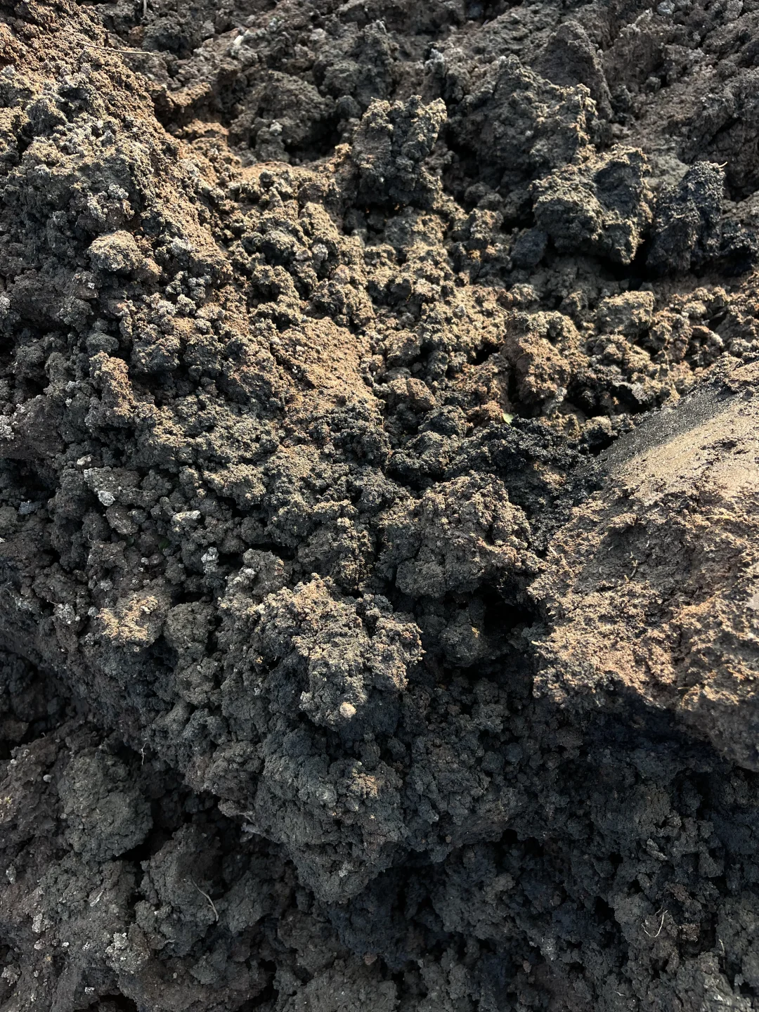 百分百甘蔗渣腐殖土