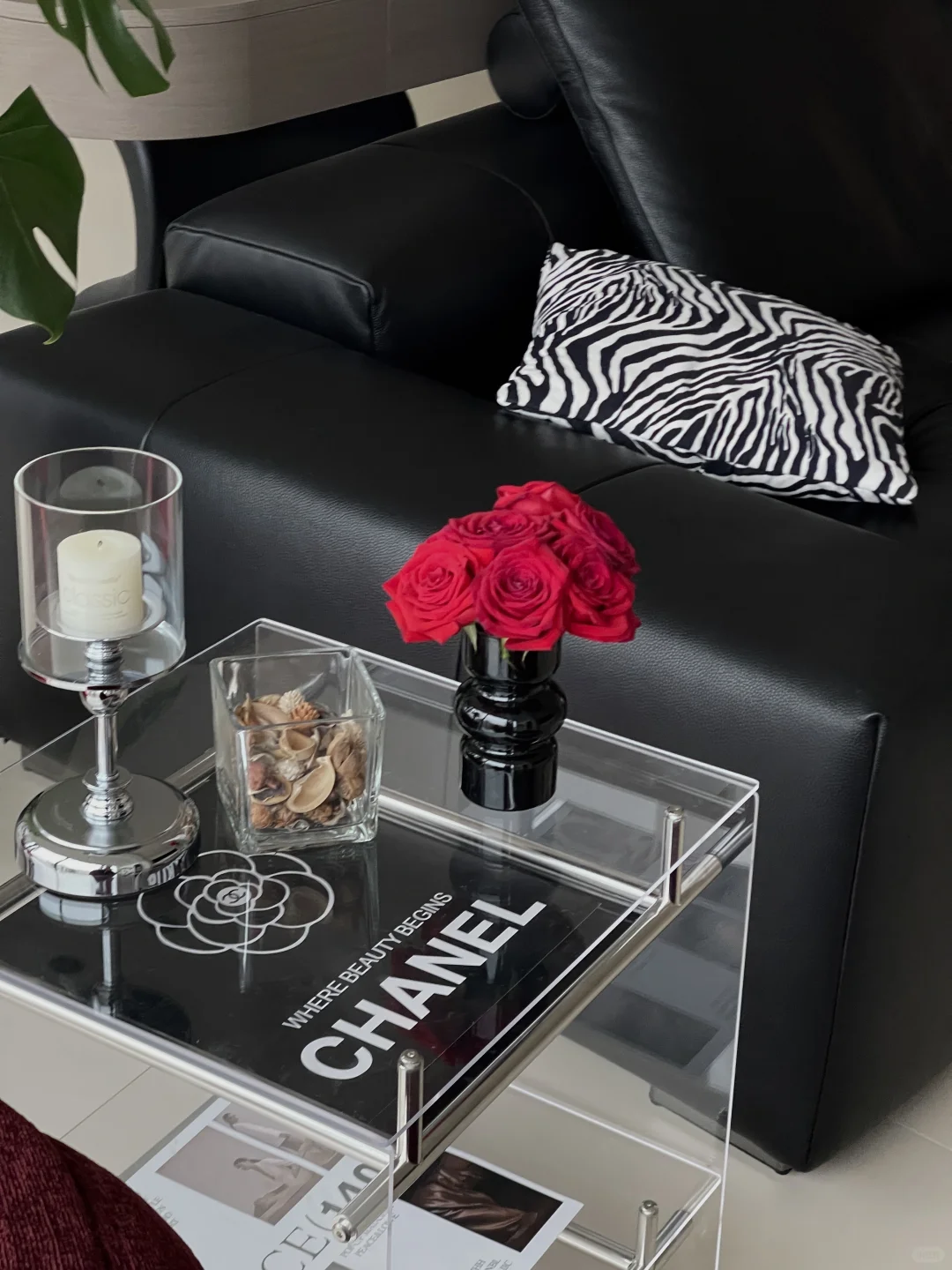 被家里这个角落美到✨