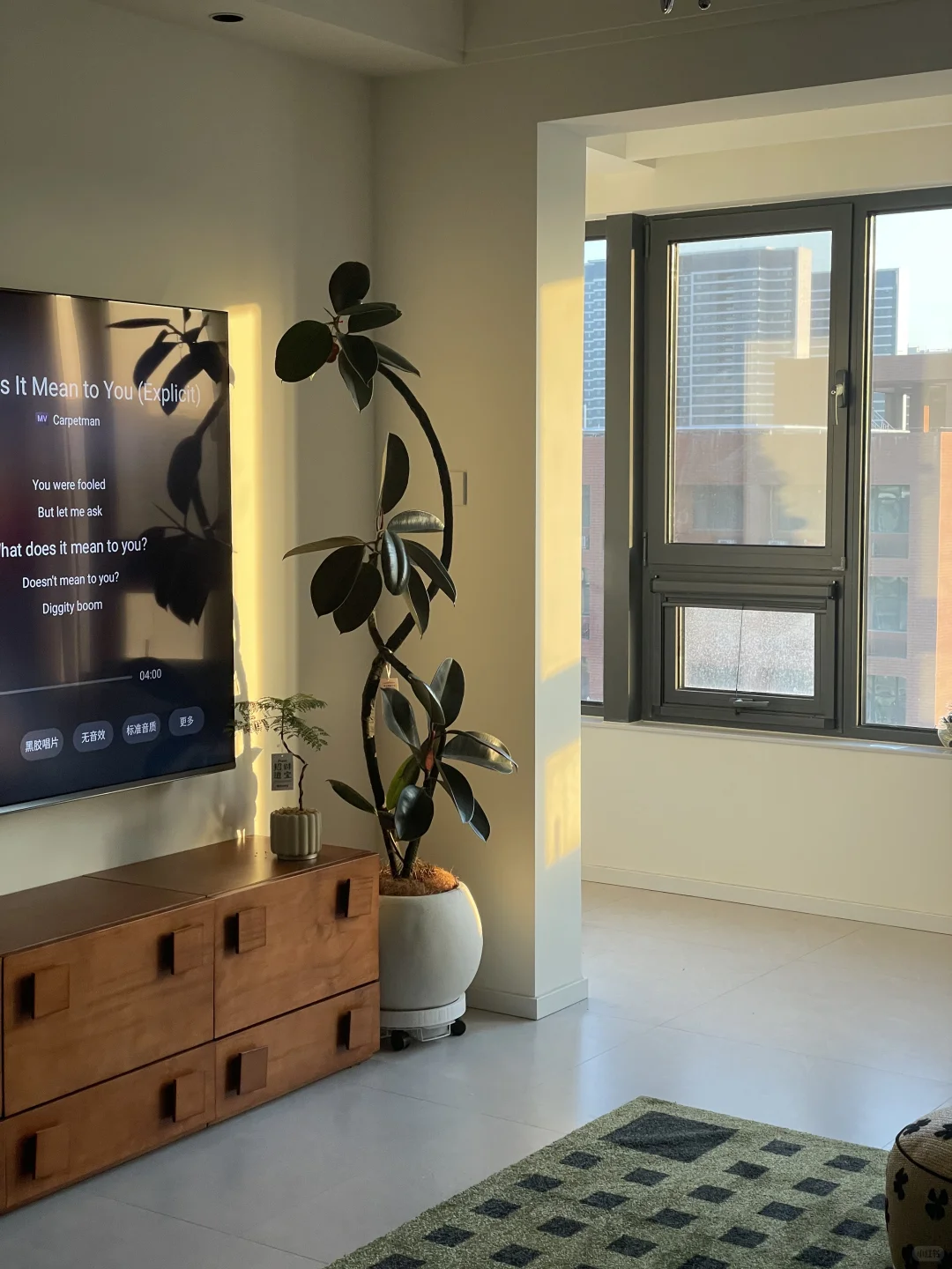 ?抄作业成功！网购绿植从未失手