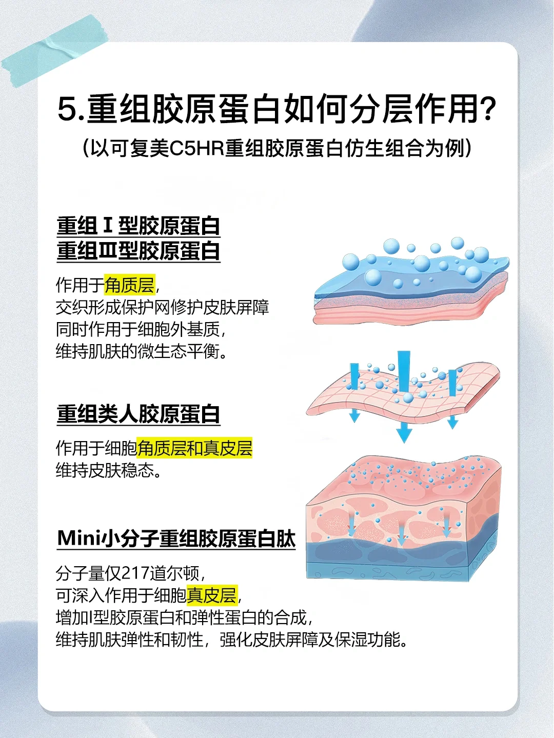 胶原蛋白怎么补❓4步避免智商税❗️