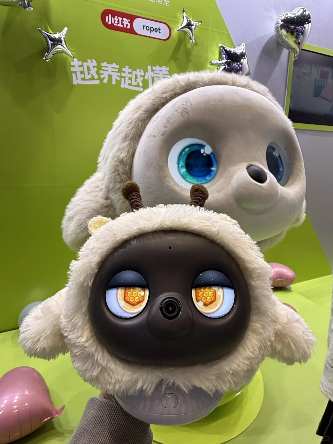 天!这是什么神仙哈基米!好萌啊……还领一堆?