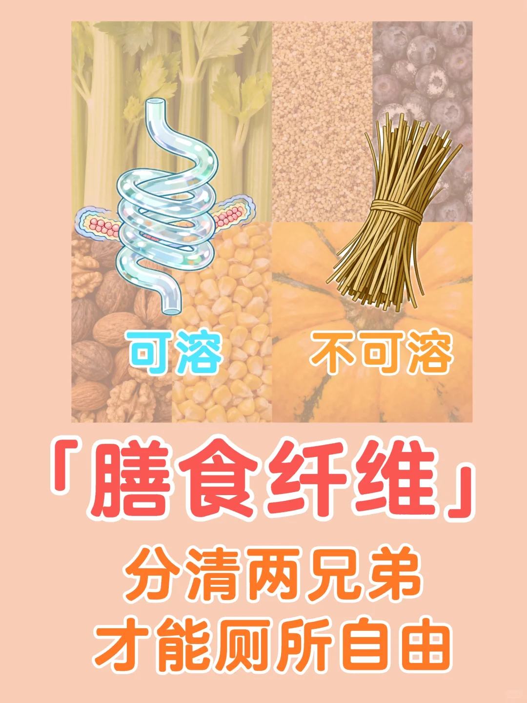 秒懂“可溶”与“不可溶”膳食纤维的天壤之别
