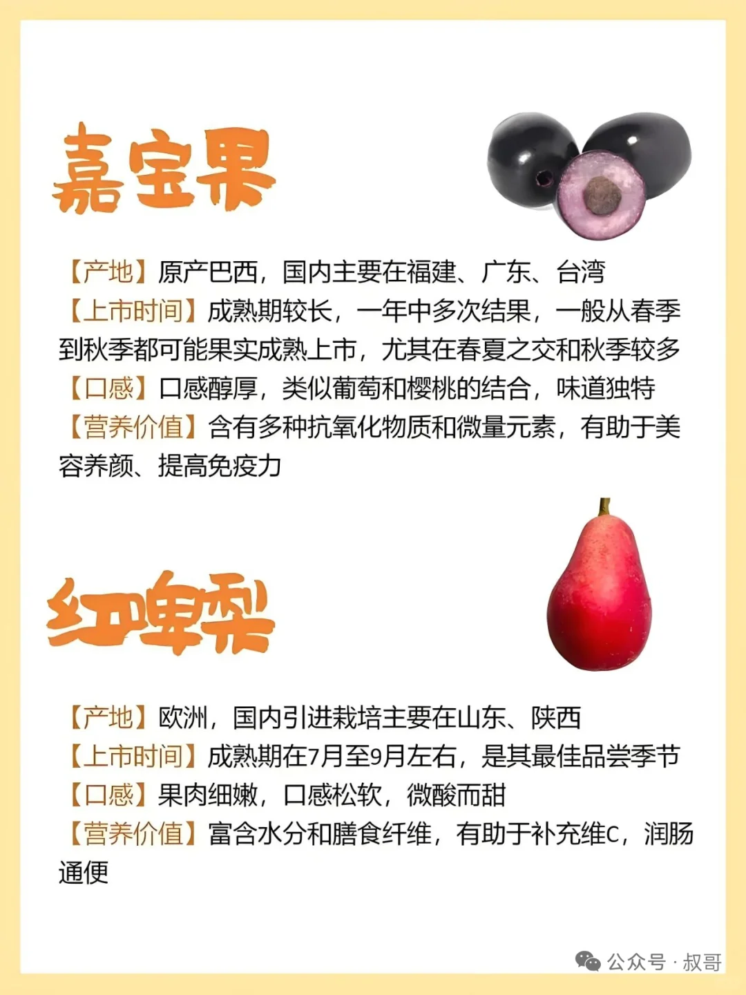 存在感不强的小众水果介绍~~