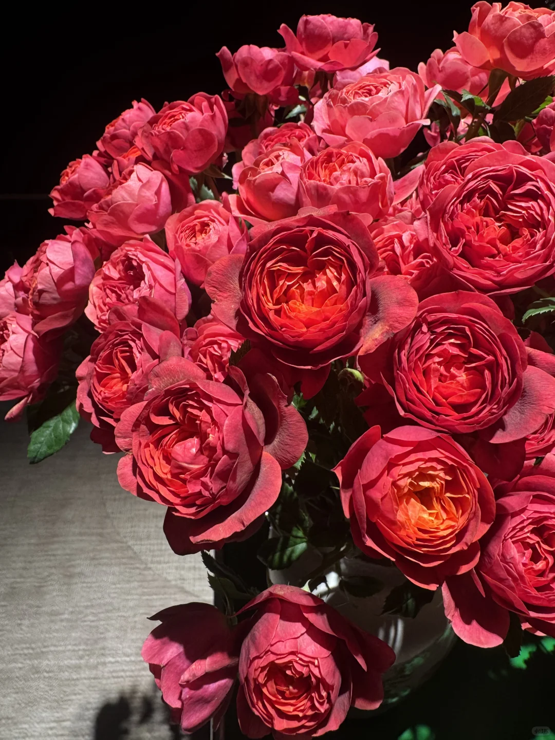 技压群汁的绝色果汁